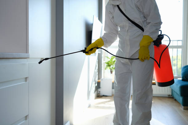 Best Mold Odor Removal Services  in Benton, LA