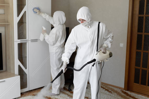 Best Mold Removal for HVAC Installations  in Benton, LA